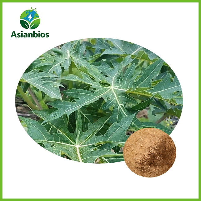 papaya leaf extract powder
